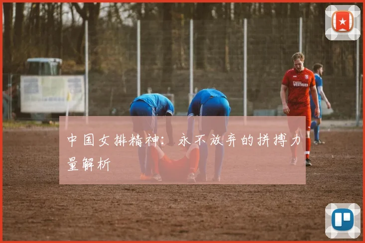中国女排精神：永不放弃的拼搏力量解析
