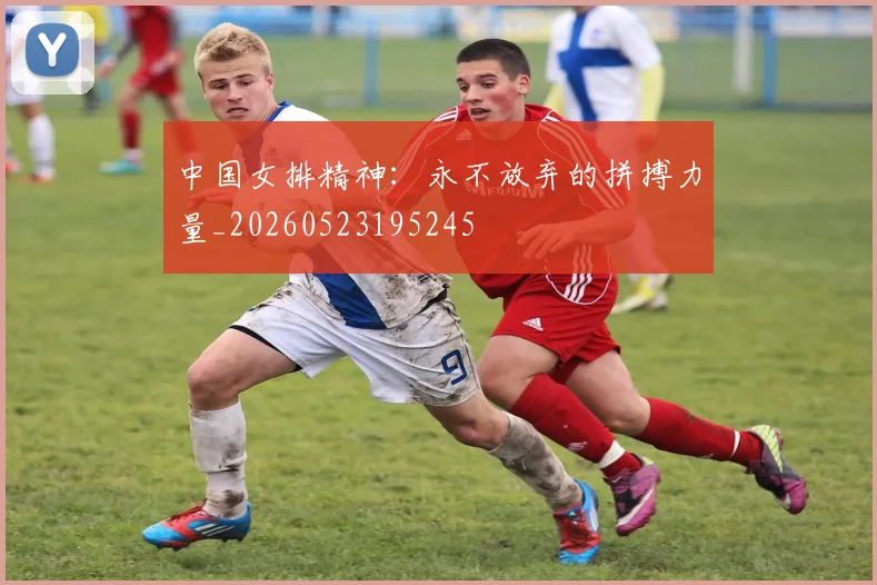 中国女排精神：永不放弃的拼搏力量_20260523195245